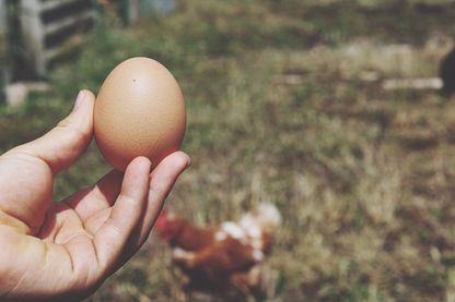 La preuve par l'oeuf La preuve par l'oeuf