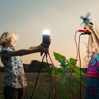 La hausse de l'intelligence tout au long de l'histoire de l'humanité s'est arrêtée à notre époque, voire qu'une tendance à la baisse s'est amorcée.