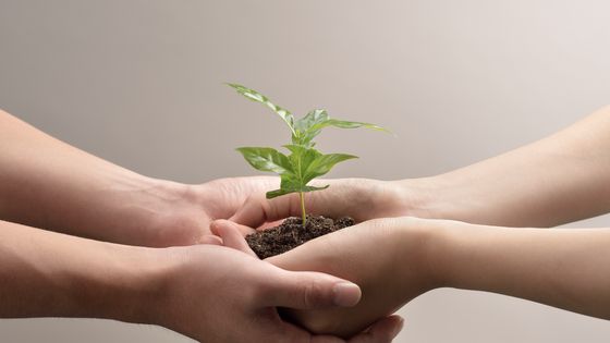 Mains d'une femme et d'un homme qui partage une petite plante ©Getty - Yagi Studio