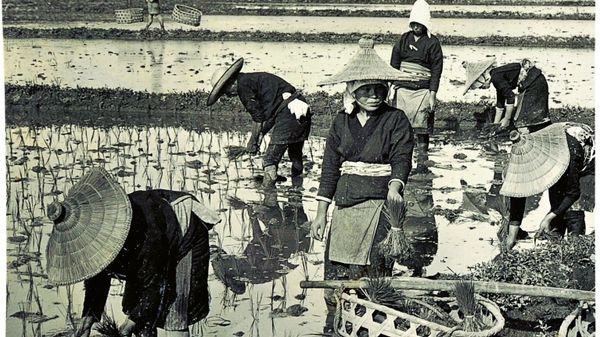 Quelle musique voyez-vous sur la photographie: "On a rice farm" de H. C. White Co ?