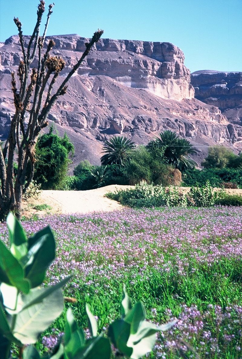 Paysage de l'Hadramaout