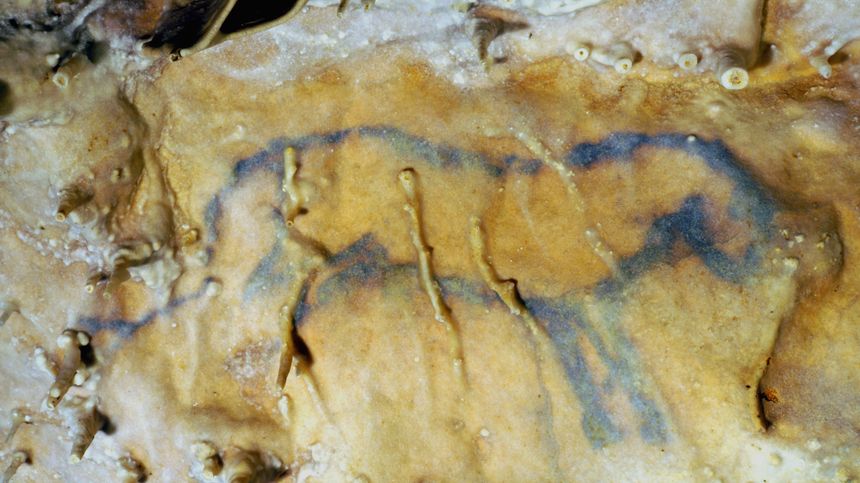 Le cheval bleu de la Grotte de Villars