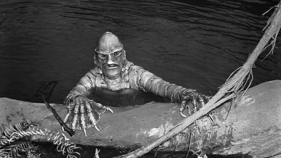 Film 'Creature from the Black Lagoon' de Jack Arnold ©Getty - John Kobal Foundation