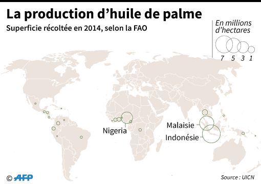 Production d'huile de palme en 2014 selon la FAO