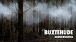 Buxtehude : Abendmusiken ALPHA