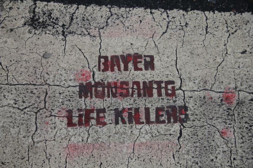 Graffiti : "Bayer Monsanto, tueurs de vie"