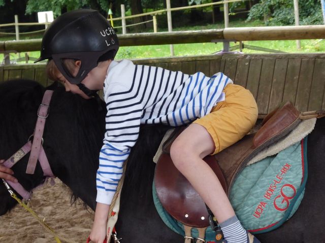 Avant de récompenser son poney Boy, Jules le câline