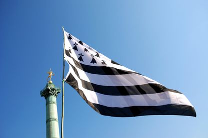 Drapeau breton lors d'une manifestation à Paris en 2018 Drapeau breton lors d'une manifestation à Paris en 2018