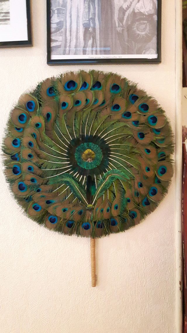 Eventail en plumes de paon