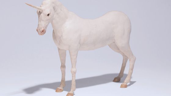 SANS TITRE (LICORNE), MIGUEL BRANCO. Collection Victor Pinto da Fonseca. Courtesy Jeanne Bucher Jaeger - Miguel Branco, Fred NS