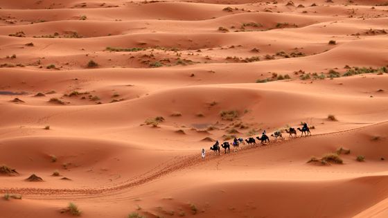 Caravane de touaregs dans le désert du Sahara ©Getty - danm