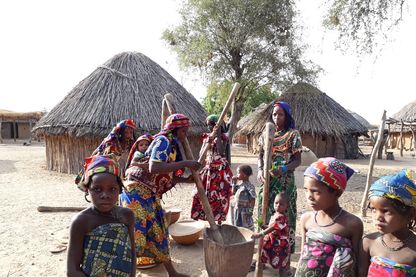 Femmes qui pilent le mil. Femmes qui pilent le mil.