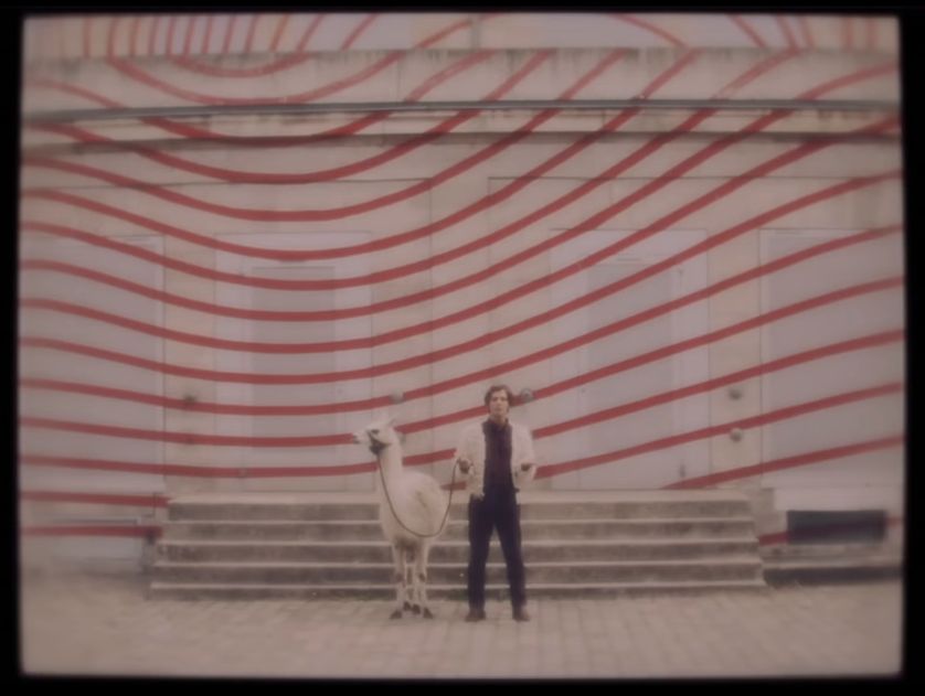 Image extraite du clip "Llama Fur" de Jackie Moontan