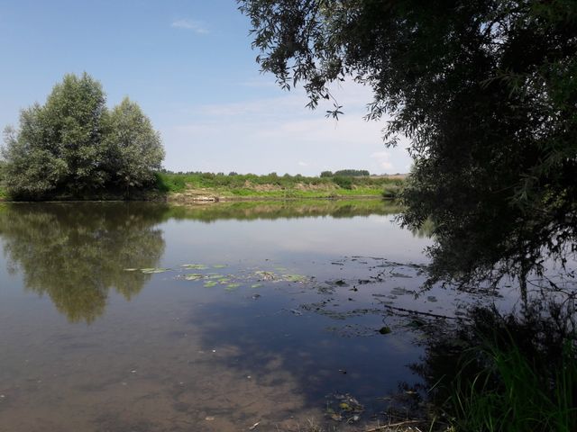 Les bords de la Sarthe, à Briollay (Maine-et-Loire)