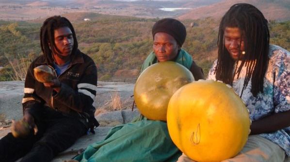 La mbira du Zimbabwe