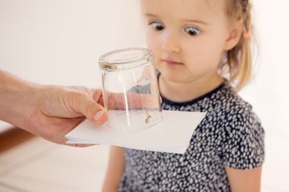 Phobie. Une petite fille regarde avec horreur une araignée coincée dans un verre. Phobie. Une petite fille regarde avec horreur une araignée coincée dans un verre.