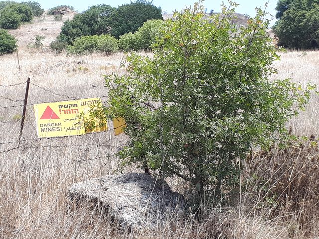 Champ de mines toujours actives sur le plateau du Golan