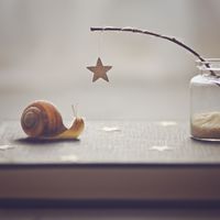 De plus en plus de nouvelles technologies pour gagner du temps et pour autant de moins en moins de temps pour en profiter, quelle solution ?