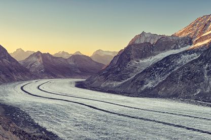 Chaque année, le glacier Aletsch perd jusqu'à cinquante centimètres de longueur. Chaque année, le glacier Aletsch perd jusqu'à cinquante centimètres de longueur.