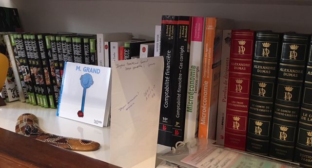 La bibliothèque de Yannick Agnel.