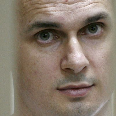 Le 21 juillet 2015, Oleg Sentsov le cinéaste ukrainien, regarde dans la cage d'un accusé lors d'une audience devant un tribunal militaire dans la ville de Rostov-sur-le-Don.