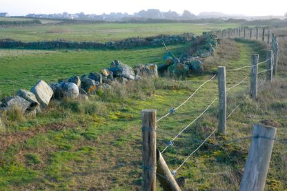 La lande bretonne La lande bretonne