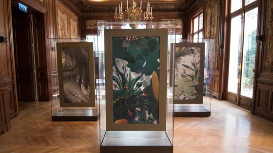 Vue de l'exposition Fukami à l'Hotel Salomon de Rotschild ©AFP - Eric Feferberg