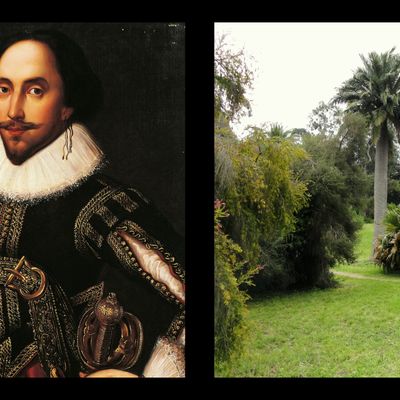 William Shakespeare et le jardin botanique de la Villa Thuret à Antibes