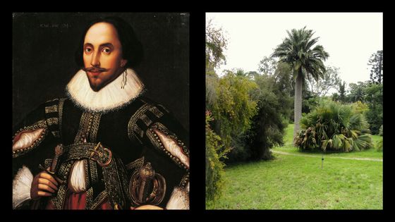 William Shakespeare et le jardin botanique de la Villa Thuret à Antibes ©Getty - De Agostini Editorial