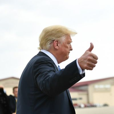 Donald Trump s'adresse à la presse à son arrivée à l'aéroport de Yeager, à Charleston, en Virginie occidentale, le 21 août 2018. Le président s'est dit «très triste» de la condamnation de Manafort.