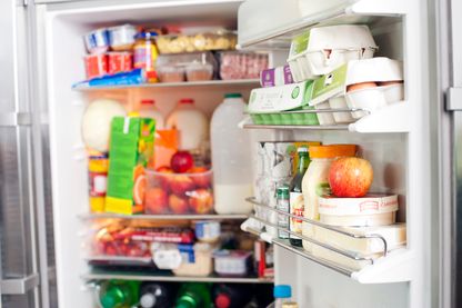 Frigo bien rempli Frigo bien rempli