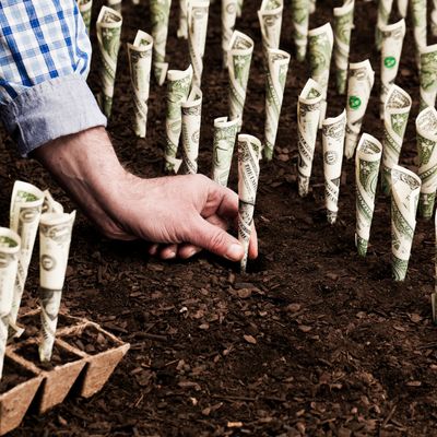 L'argent ne pousse pas aux arbres