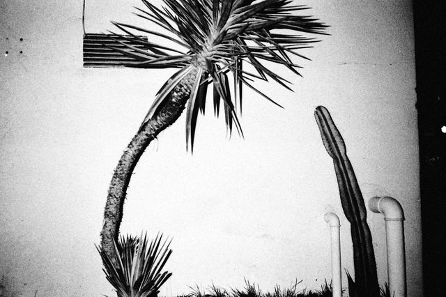Photo d'Abdo Shanan tirée de son journal "Diary : exile"