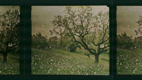 Etienne Descargues: Arbres au printemps, prairie et maisons rurale - BnF-Gallica