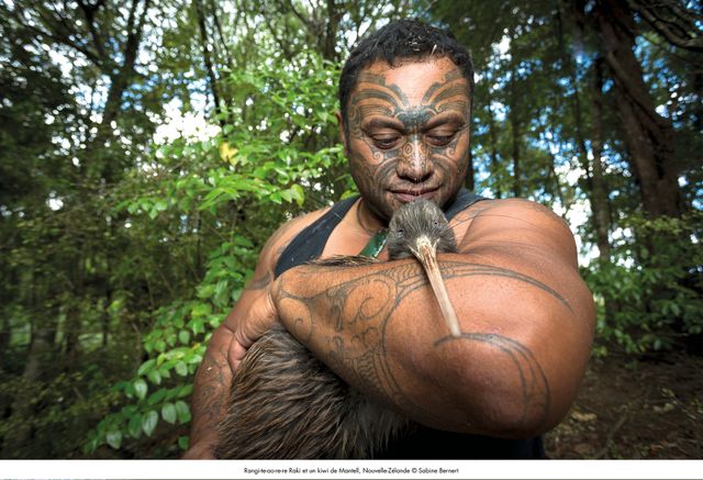 Rangi-te-ao-re-re Raki et un kiwi de Mantell, Nouvelle-Zélande