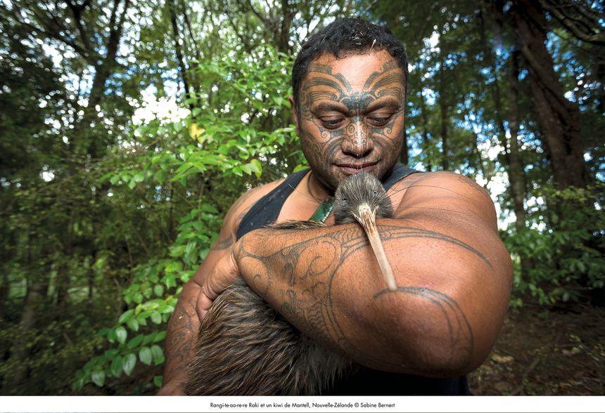 Rangi-te-ao-re-re Raki et un kiwi de Mantell, Nouvelle-Zélande
