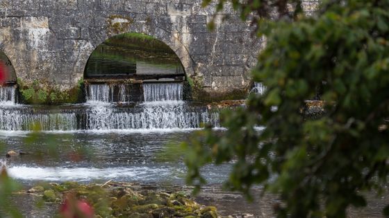 La rivière Dronne à Brantôme ©Getty - Garden Photo World/David C Phillips