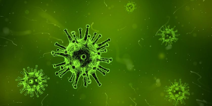 "Un grand virus fait de l'ordre de 100 nm de diamètre et on l'observe au microscope électronique. Mais les virus géants, le mimivirus par exemple, on est proche du micron et on le voit très facilement au microscope optique." Chantal Abergel