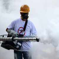 Il y a la traditionnelle tapette à moustique, et puis... la manière forte, comme ici au Brésil