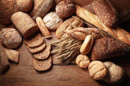 Aux origines du pain Aux origines du pain