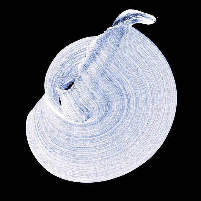 Najia Mehadji, "Sufi Touch", 2014, épreuve numérique pigmentaire, tirée à 8 exemplaires, 130x130cm