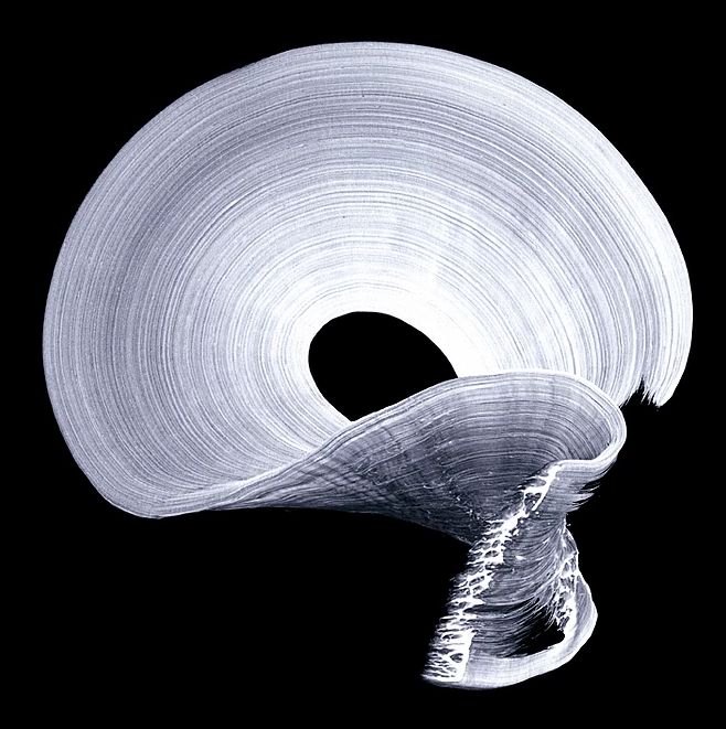 Najia Mehadji, "Mystic Dance 3", 2011, épreuve numérique pigmentaire, tirée en 5ex., 160x160cm et en 3ex. en 200x200cm