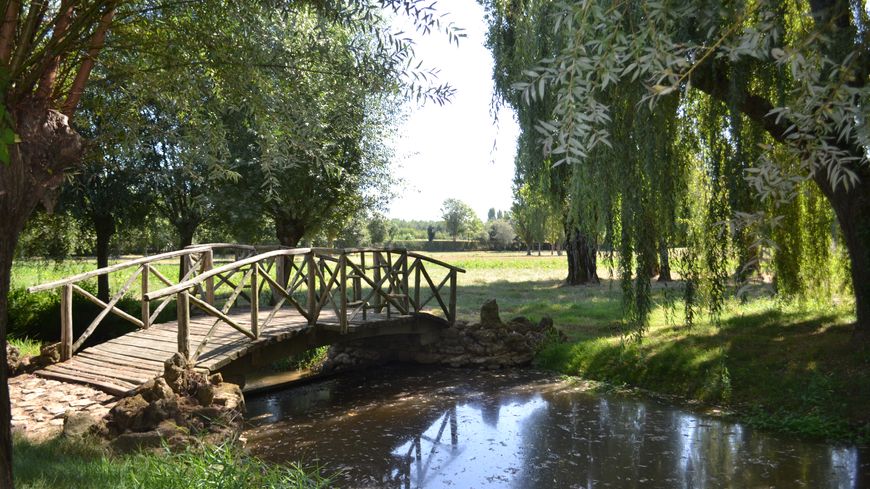 Dans les Jardins de William Christie
