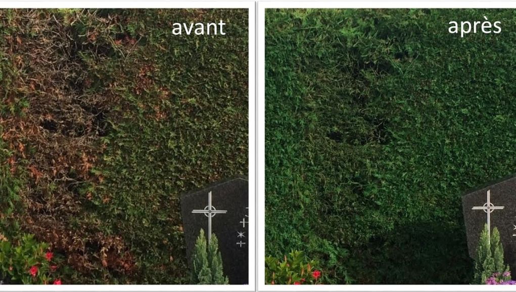 Un Alsacien Commercialise De La Peinture Verte Pour Repeindre Vos