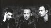 « Gently Disturbed »