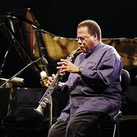 Wayne Shorter au Jazz Middelheim Festival 2014 / Peter Van Breukelen / Getty
