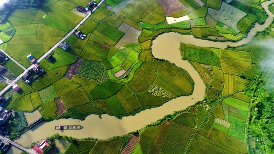 Bocages vus du ciel ©Getty - Vi Ngoc Minh Khue
