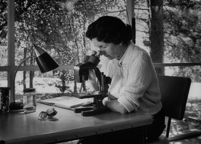 La biologiste Rachel Carson chez elle en 1962.