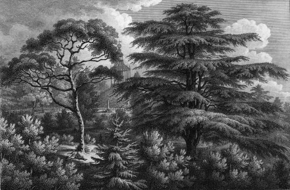 Le Jardin des Plantes