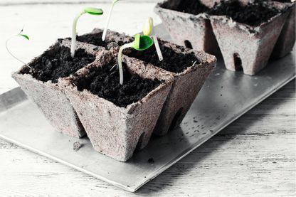 Fabriquer son propre compost, même quand on habite en appartement, n'est pas si compliqué Fabriquer son propre compost, même quand on habite en appartement, n'est pas si compliqué